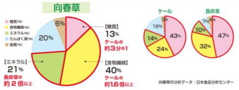 ミネラルと食物繊維の円グラフ 向春草の分析データ：日本食品分析センター