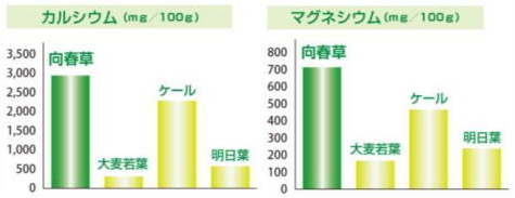 カルシウムとマグネシウムの棒グラフ 向春草の分析データ：日本食品分析センター